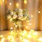 Globe String Lights 32FT 100 LED Fairy Lights USB Model 8 Modes with Remote Control Device Waterproof Outdoor Indoor Warm White String Lights for Bedroom,Garden,Party,Wedding Decorations